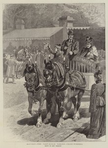 May-Day, the Cart-Horse Parade, Prize-Winners